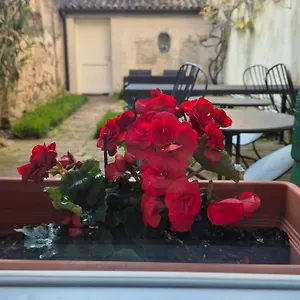 19 Borgo Cavour 3* Trévise