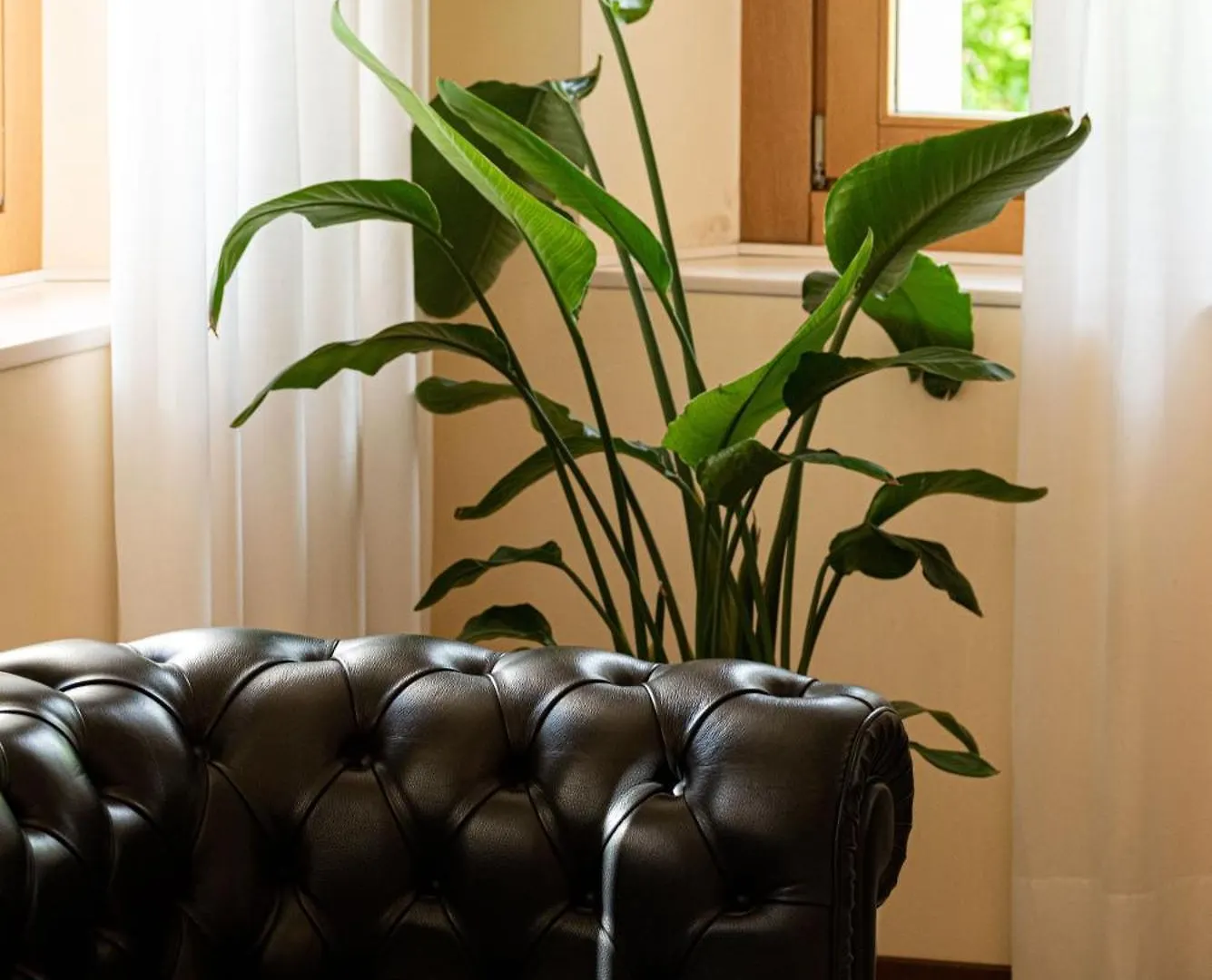 Phi Hotel Astoria Susegana 4*,  Ιταλία